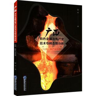 广西有色金属冶炼产业技术专利态势分析:以铝、铜产业为例 陆军   经济书籍企业管理出版社