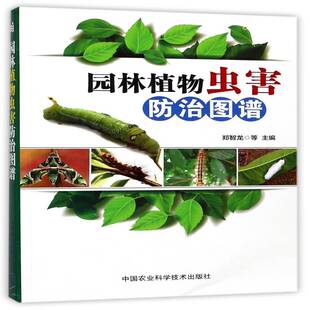 园林植物虫害防治图谱郑智龙园林植物病虫害防治图谱书籍正版中国农业科学技术出版社