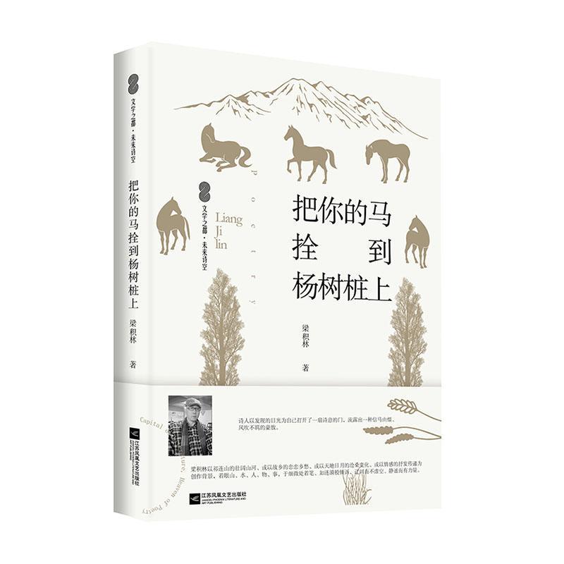 正版包邮  把你的马拴到杨树桩上 梁积林著当代文学诗歌文学之都未来诗空系列书籍 文学江苏凤凰文艺出版社书籍