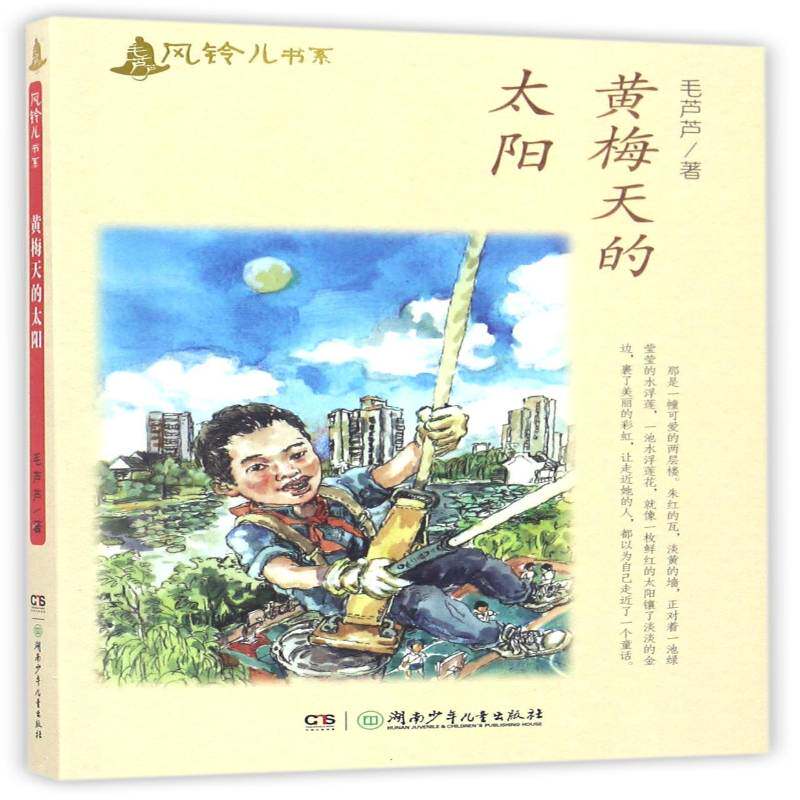 黄梅天的太阳 书 毛芦芦儿童小说中篇小说中国当代书籍正版湖南少年儿童出版社