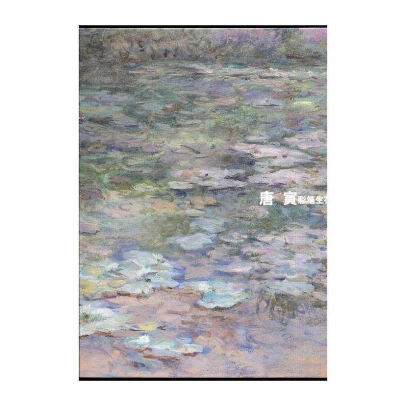唐寅:彩笔生花:blooming inspiration 唐寅 油画作品集中国现代 艺术书籍中央编译出版社