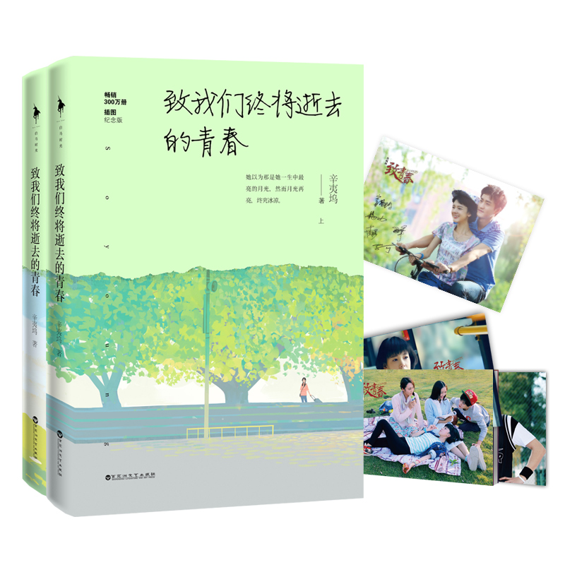 正版包邮 致我们终将逝去的青春 插图纪念版 上下全套2册 辛夷坞著 杨玏陈瑶电视剧原著 都市言情校园甜宠青春小说书籍