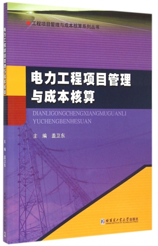 正版包邮 电力工程项目管理与成本核算 盖卫东 哈尔滨工业大学出版社 经济 书籍