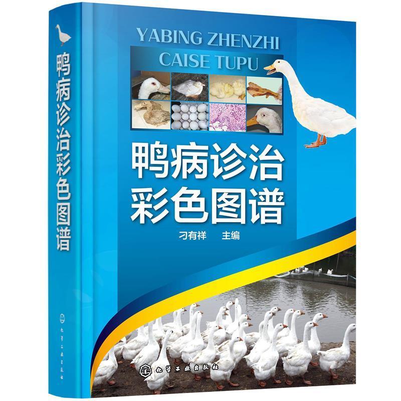 鸭病诊治彩色图谱 刁有祥 鸭病诊疗图谱高职农业、林业书籍化学工业出版社