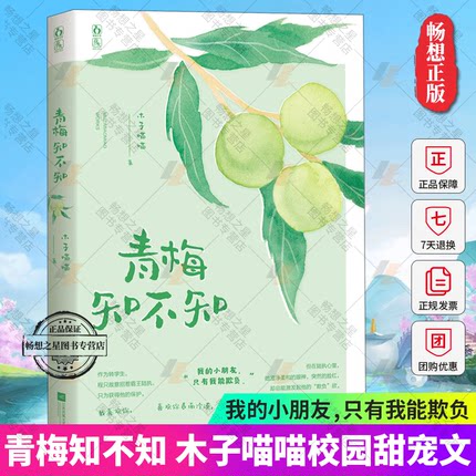 青梅知不知木子喵喵作品花火杂志六期重磅连载小说青春校园甜宠言情小说书籍作为转学生程只故意招惹学霸陆执只为获得他的保护