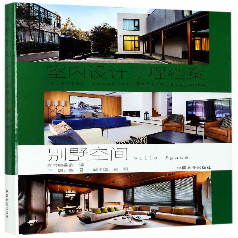 别墅空间  别墅室内装饰设计中国现代图集 建筑书籍中国林业出版社