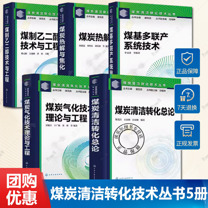 煤炭清洁转化技术丛书 3册 煤炭清洁转化总论+煤基多联产系统技术+煤炭热解与焦化 煤炭清洁转化技术 现代煤化工入门指南