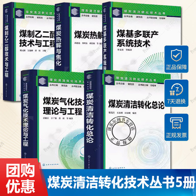煤炭清洁转化技术丛书 3册 煤炭清洁转化总论+煤基多联产系统技术+煤炭热解与焦化 煤炭清洁转化技术 现代煤化工入门指南