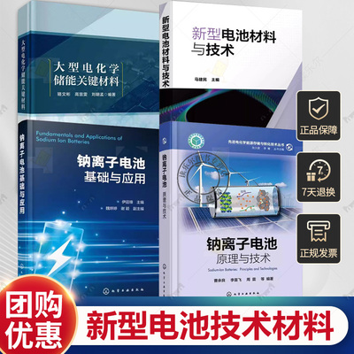 4册 新型电池材料与技术+钠离子电池基础与应用+钠离子电池:原理与技术+大型电化学储能关键材料 锂/钠离子电池电容器等纳米技术