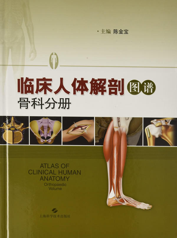 正版 临床人体解剖图谱 骨科分册 陈金宝 主编 手术入路解剖学 临床医学 影像解剖 9787547834534上海科学技术出版社 医药卫生书