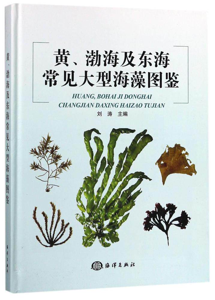 植物学书籍 海藻生物学特性 绿藻门红藻门棕色藻门 大学教材海洋植物
