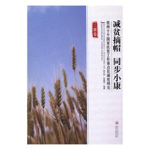 减贫摘帽 同步小康 杨兴洪 贵州大学出版社 中国近现代小说 书籍