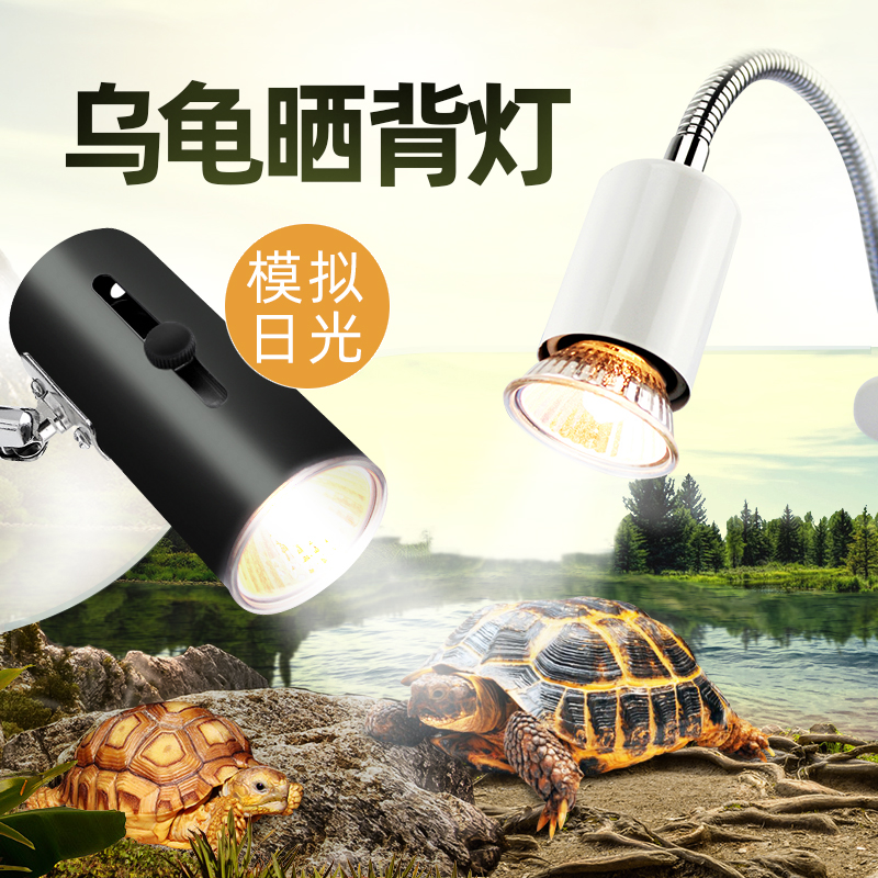乌龟晒背灯加热保温灯太阳灯爬宠