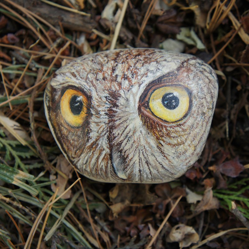 美国艺术家kswardrip手绘石头画猫头鹰