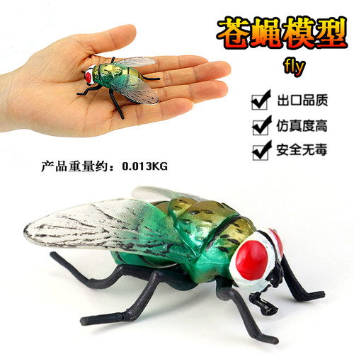 昆虫塑胶仿真苍蝇模型礼物认知