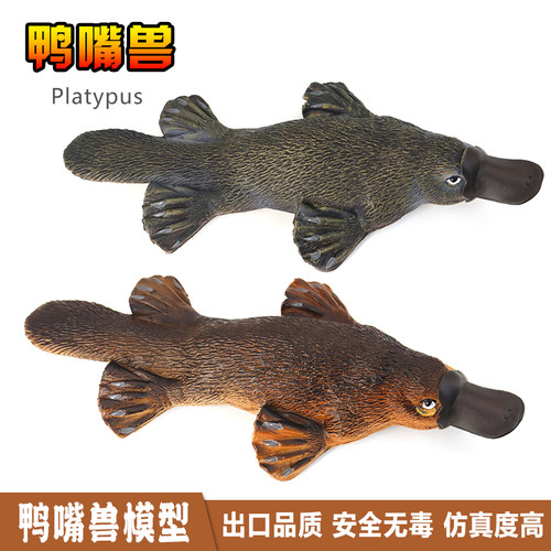 鸭嘴兽塑胶仿真儿童益智礼物模型