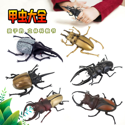仿真昆虫玩具塑胶逼真楸甲大甲虫