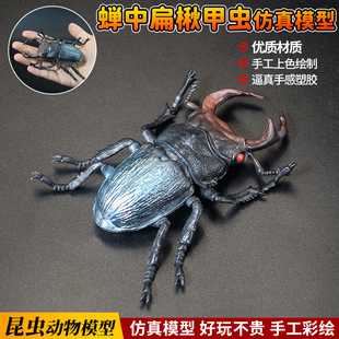 仿真锹甲知了蟋蟀模型独角仙儿童玩具蜉蝣昆虫蝼蛄科教育甲虫标本