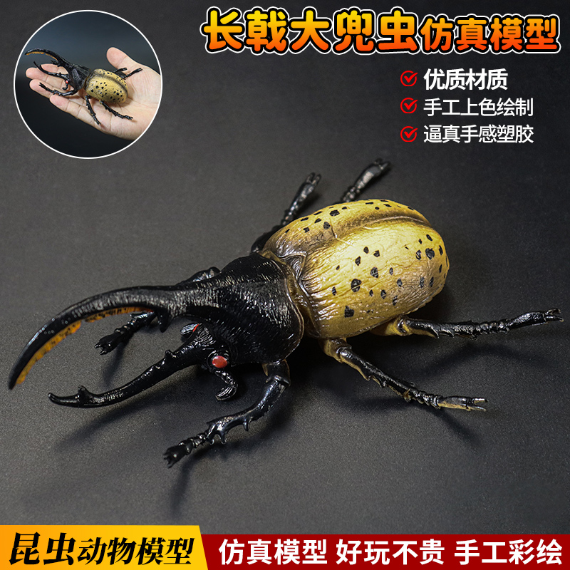 仿真长剑大兜虫模型甲虫昆虫玩具