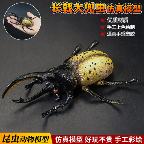 仿真长剑大兜虫模型甲虫昆虫玩具