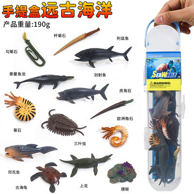 收纳盒远古海洋动物菊石角石玩具
