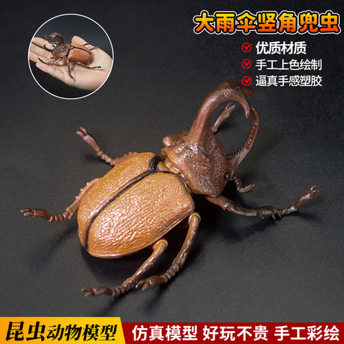 仿真大雨伞竖角兜虫蟋蟀模型玩具