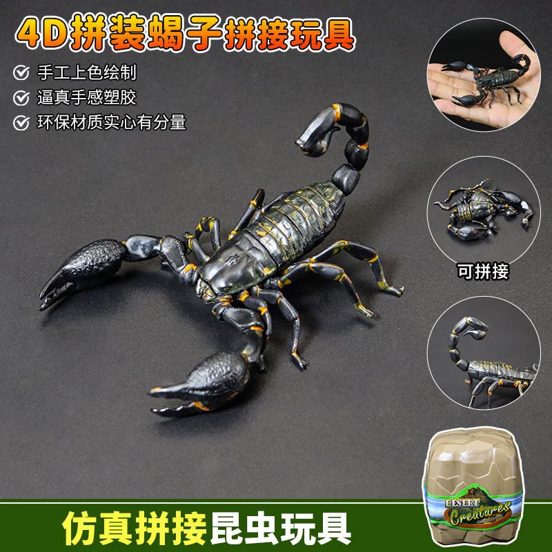 仿真拼插昆虫蝎子蜈蚣标本螳螂蜜蜂模型甲虫益智玩具蚂蚁苍蝇蜻蜓
