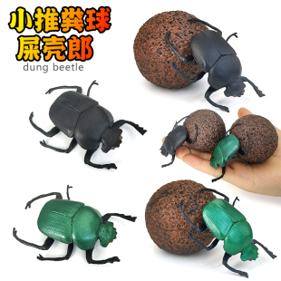仿真动物昆虫圣甲虫推粪球屎壳郎模型蜜蜂蜈蚣玩具儿童教育认知