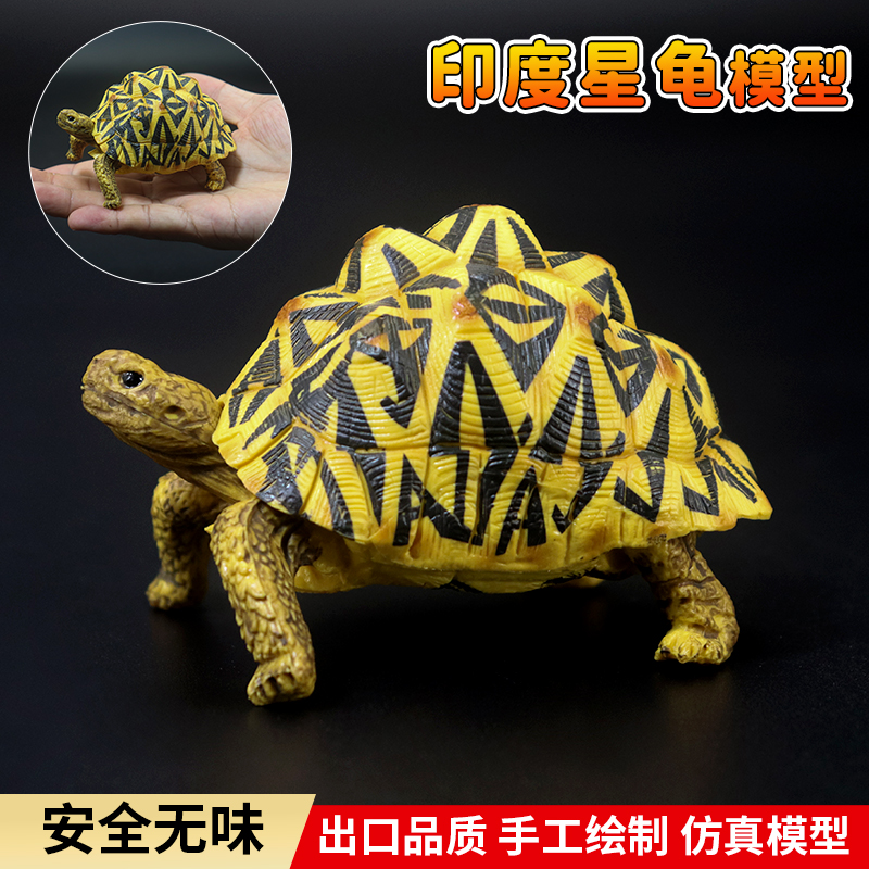 仿真实心陆龟印度星龟模型玩具象龟苏卡达乌龟鳄龟摆件儿童礼物