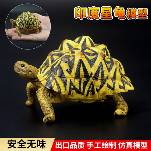 仿真实心陆龟印度星龟模型玩具象龟苏卡达乌龟鳄龟摆件儿童礼物