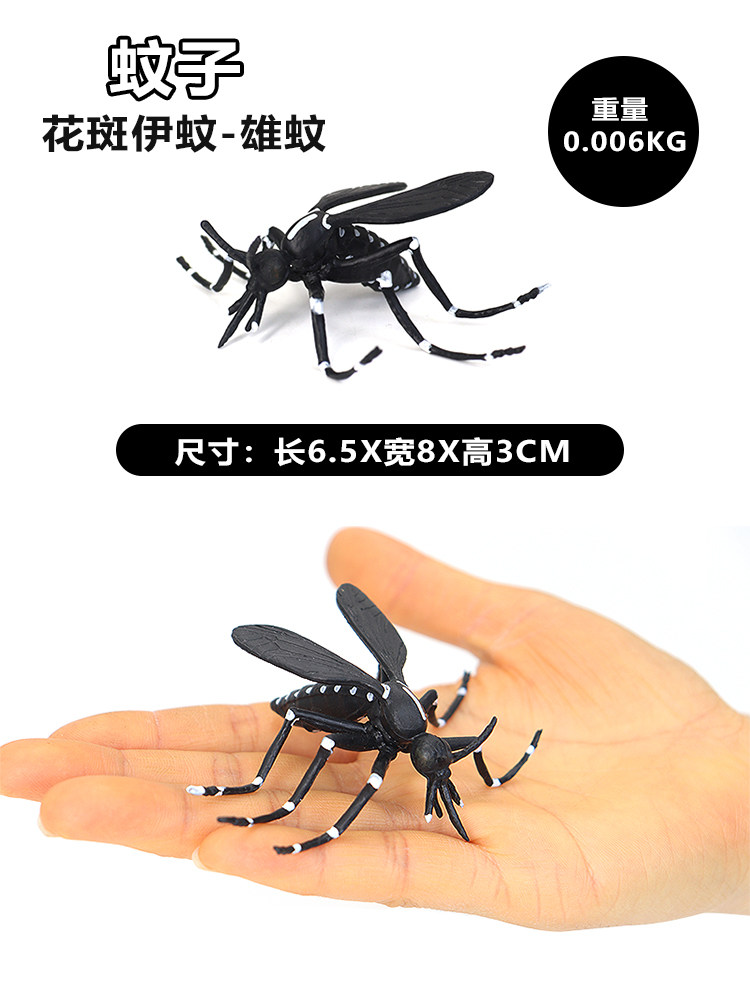 시뮬레이션 동물 현실적인 곤충 모기 모델 발견 정적 고체 AEDES 모기 장난감 장식품 어린이 교육 선물