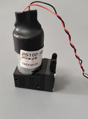 热电赛默飞P5100-60553，内置真空泵24V 拆机件，原装正品 隔膜泵