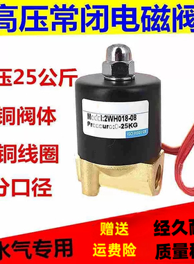 高压电磁阀 2WH018-08 2分/3分高压气阀 耐压25KG AC220V DC24V