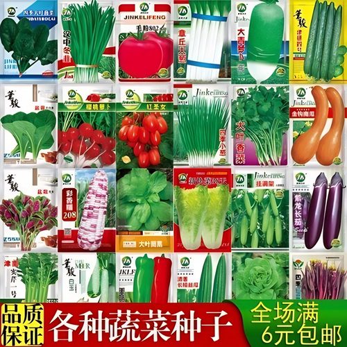四季种植菜种籽家庭盆栽蔬菜种孑