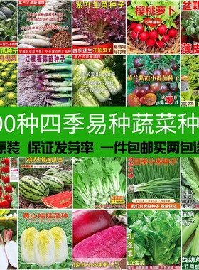 春秋菜种籽大全四季阳台盆栽瓜果蔬菜生菜小葱番茄豇豆空心菜种籽