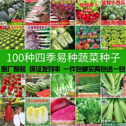 春秋菜种籽大全四季阳台盆栽瓜果蔬菜生菜小葱番茄豇豆空心菜种籽