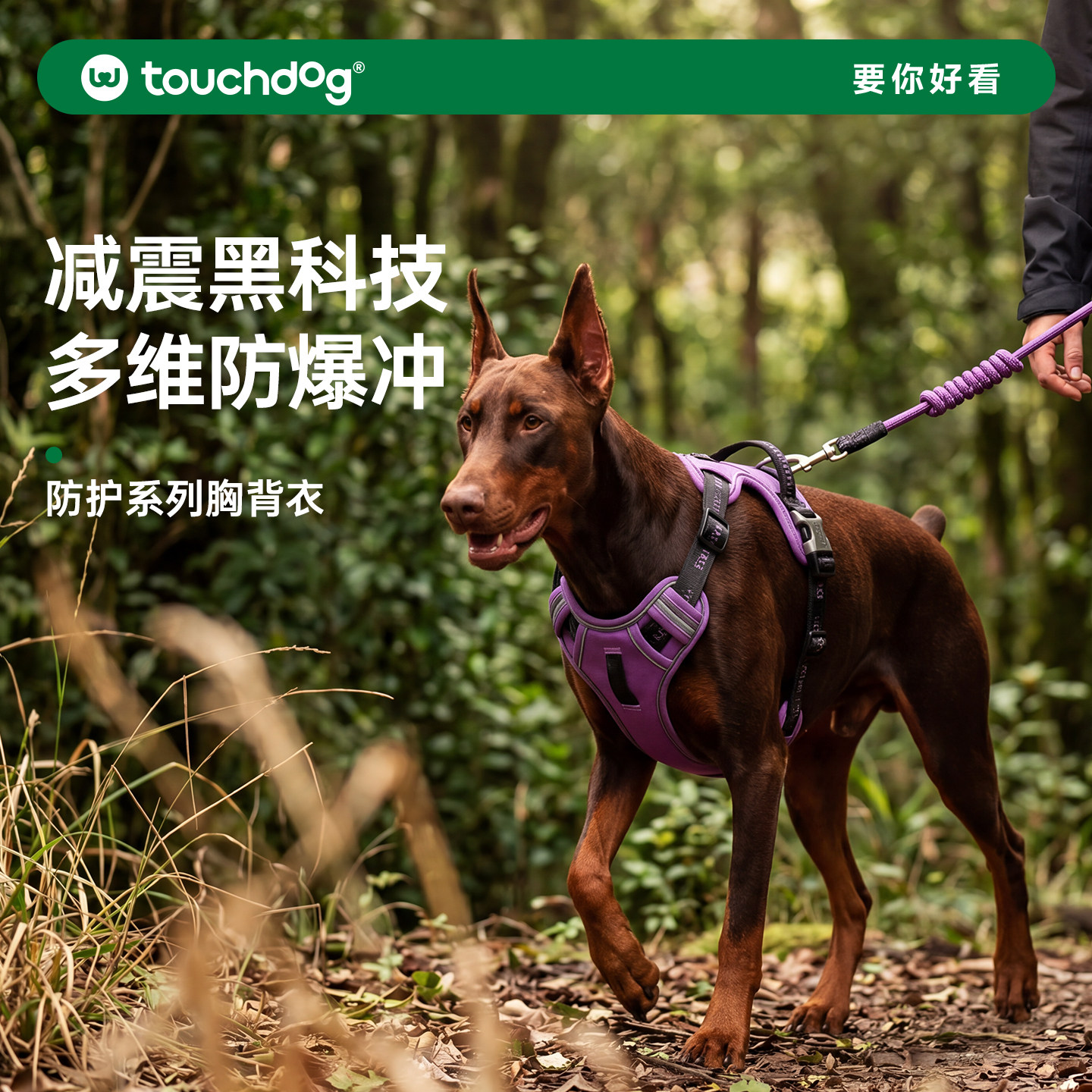 Touchdog它它狗狗工字胸背图片