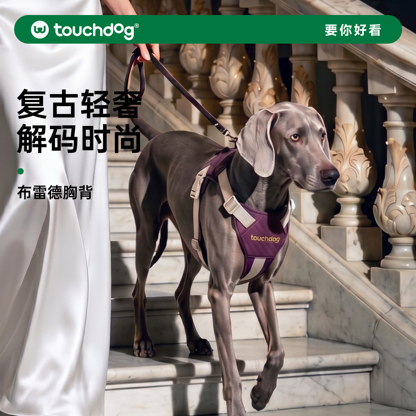 Touchdog它它美式狗狗胸背皮质胸背带牵引绳防爆冲中大型犬遛狗绳
