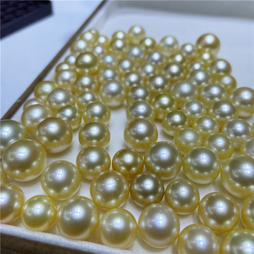 天然南洋金海水珍珠金色散珠