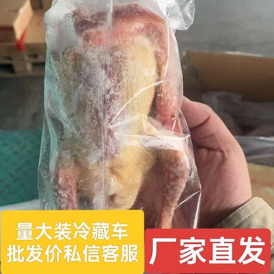新鲜原粮乳鸽冷冻鸽子肉脆皮乳鸽土鸽子生态肉鸽整箱20只商用批发