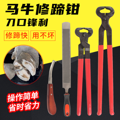 马用修蹄钳兽用修蹄套装大号平口剪蹄钳马蹄剪刀修蹄锉刀马房用品