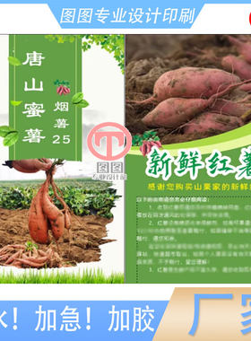 定制唐山蜜薯哑膜烫金宣传单烟薯糖心板栗红薯保存方法网兜插卡片
