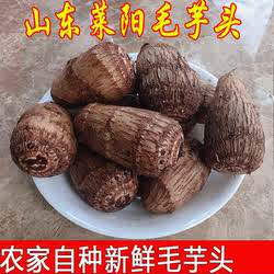 山东毛芋头莱阳芋头老品种莱阳芋头5斤装软糯面滑芋泥小芋艿芋圆