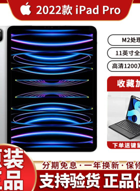 Apple/苹果 11 英寸 iPad Pro 22款 ipad平板21款/20款/18款poo款