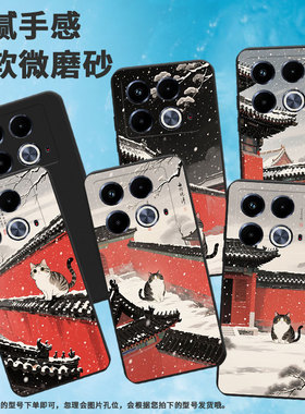 适用传音InfinixNote40Pro+手机壳红墙黑瓦潮流Note40Pro磨砂壳InfinixNote40高级感X6851中国风保护套