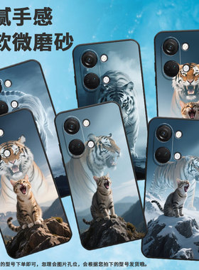 适用一加NordN300手机壳Nord2T商务CE2一只小猫GN2200硅胶OneplusNordCE2Lite耐磨CE3保护套CPH2467软壳