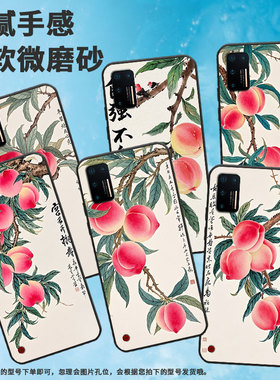 适用坚果Pro手机壳防摔爆OS105商务锤子坚果Pro2s全包边坚果3保护套DT1901A水彩桃子Pro3硅胶Pro2磨砂壳