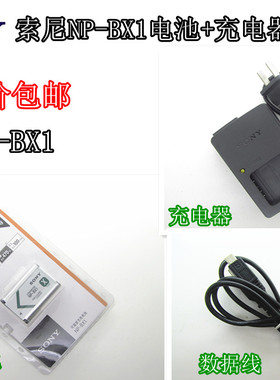 索尼HDR-AS15 AS30V AS50 AS100V摄像机NP-BX1电池+充电器+数据线