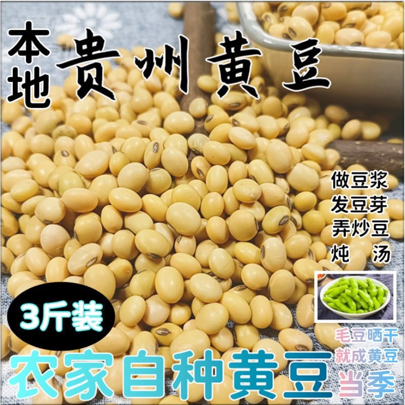 贵州本地黄豆农家晒干毛豆精选菜用大豆发豆芽做豆浆豆腐非转基因,粮油调味/速食/干货/烘焙,黄豆,淘宝优惠券,粉丝福利购,淘宝优惠卷