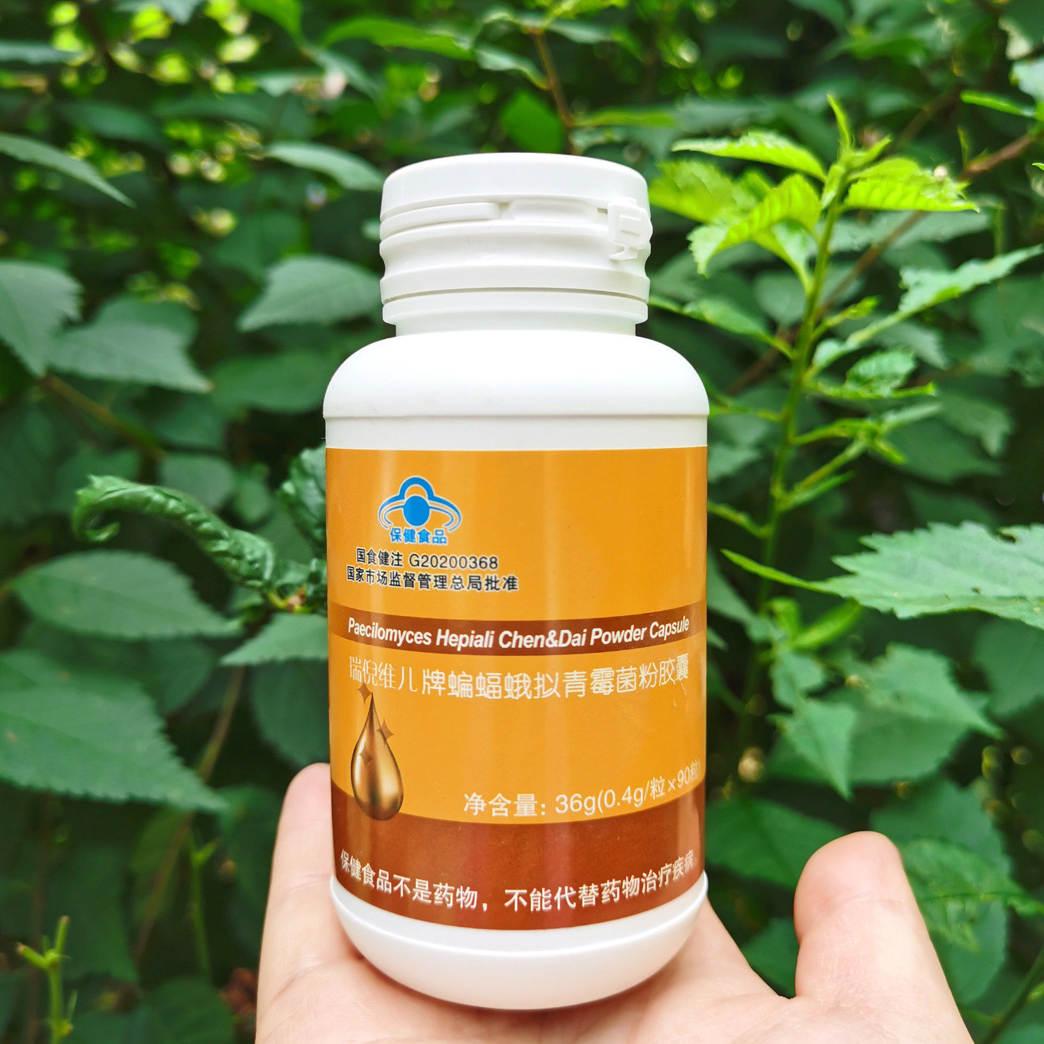 【人工培育冬虫夏草】天津瑞倪维儿蝙蝠蛾拟青霉菌粉胶囊